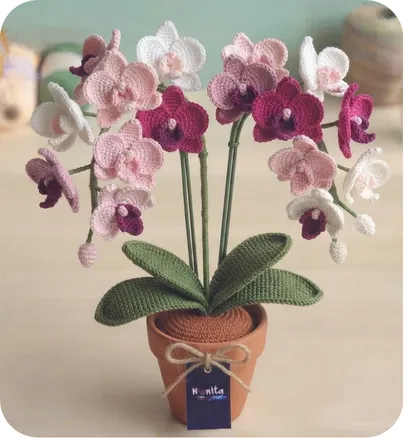 Maceta de Orquideas Eternas